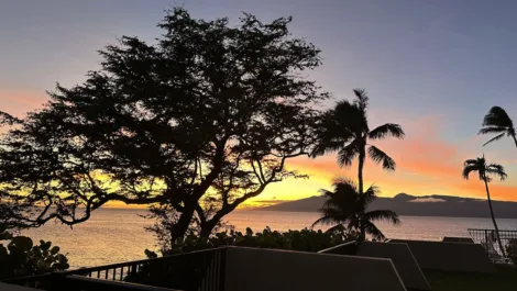 Photo of the Day: Napili